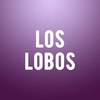 Los Lobos, Rialto Theater, Tucson