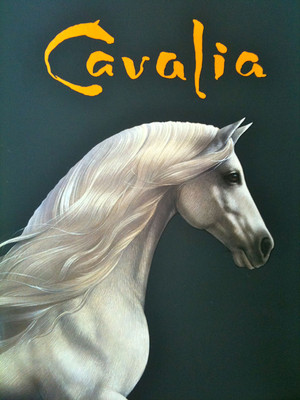 Cavalia at Gallery MC