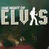 One Night of Elvis Lee Memphis King, Theatre Royal Brighton, Brighton