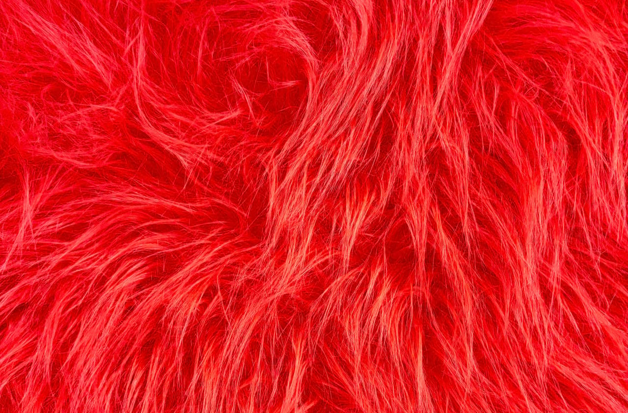 Dates announced for Clifford The Big Red Dog
