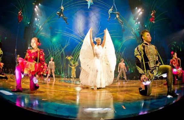 Cirque du Soleil Amaluna