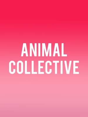 Animal Collective at Vic Theater