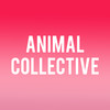 Animal Collective, Union Transfer, Philadelphia