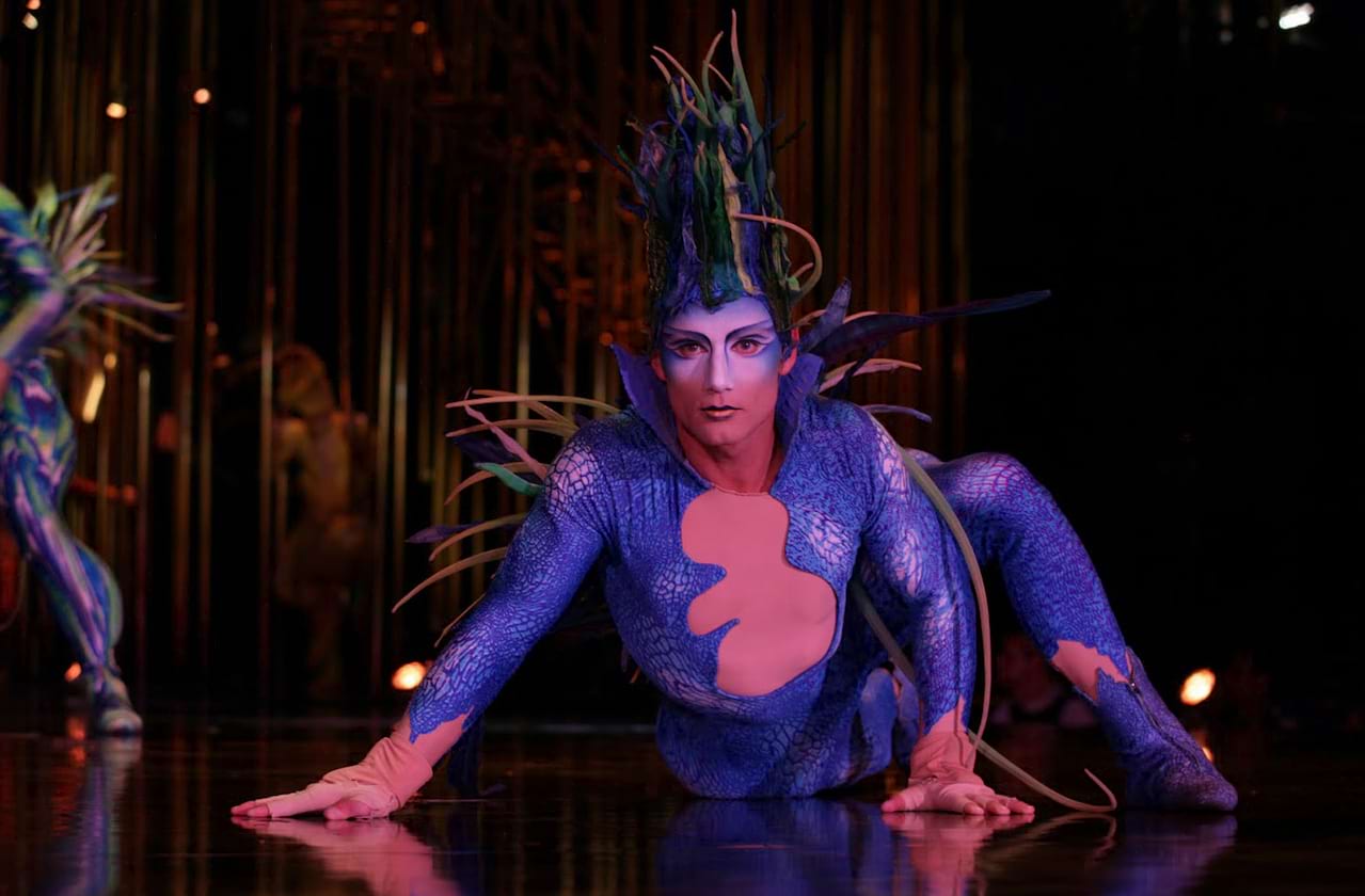 Cirque du Soleil - Varekai