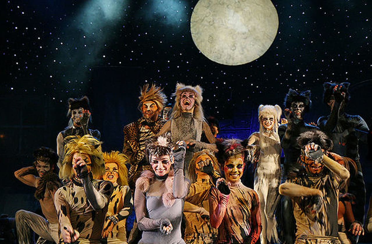 Cats at 710 Main Theatre