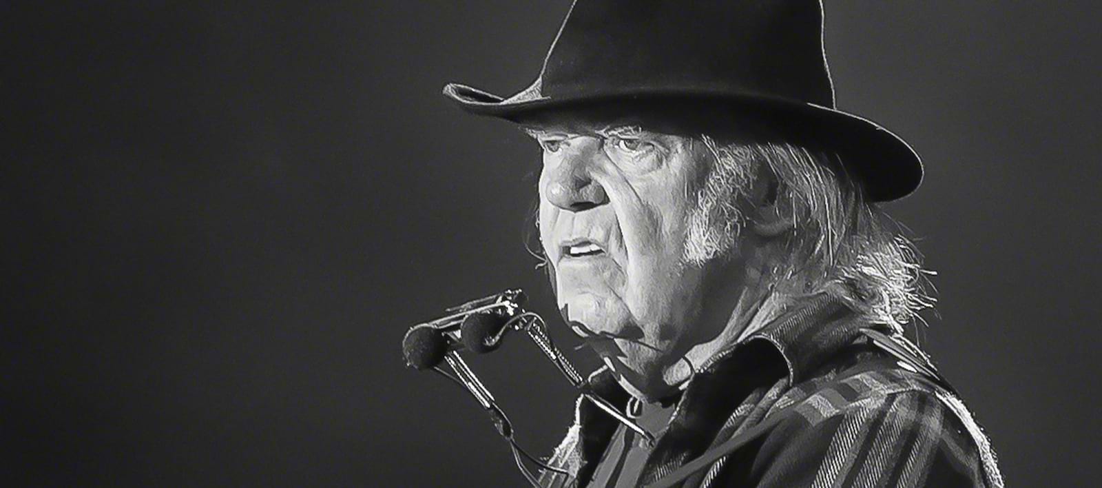 neil young now - Ilustrasi 2
