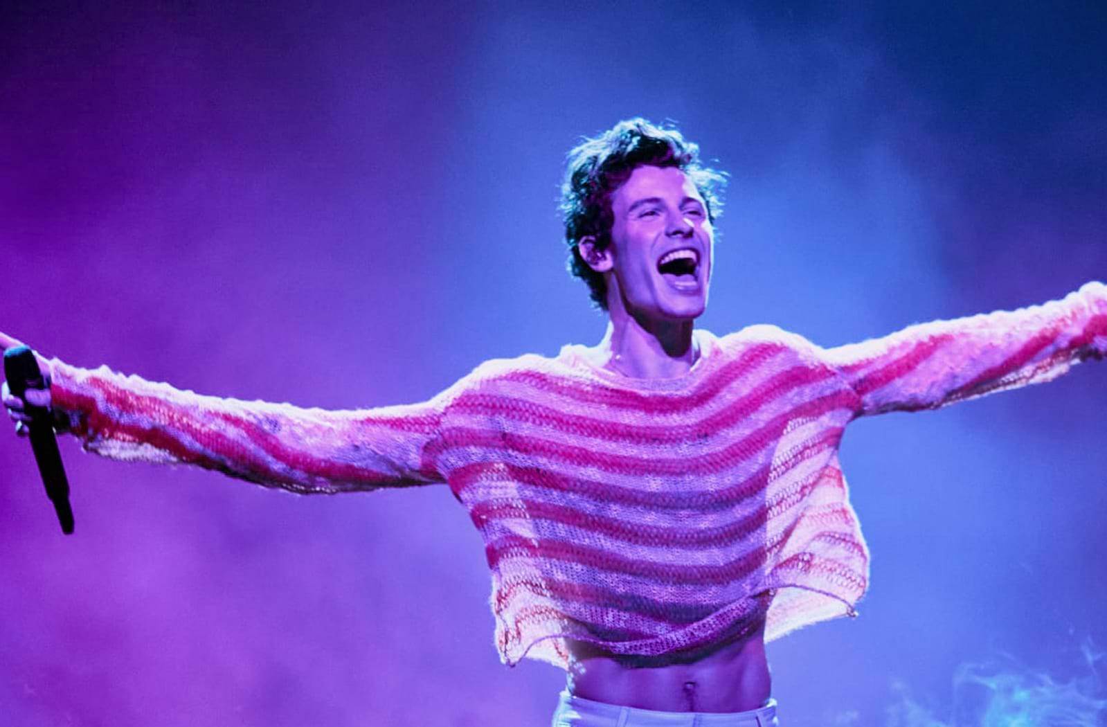 Budweiser Stage, Toronto, ON Seating Chart & Stage Toronto Theater