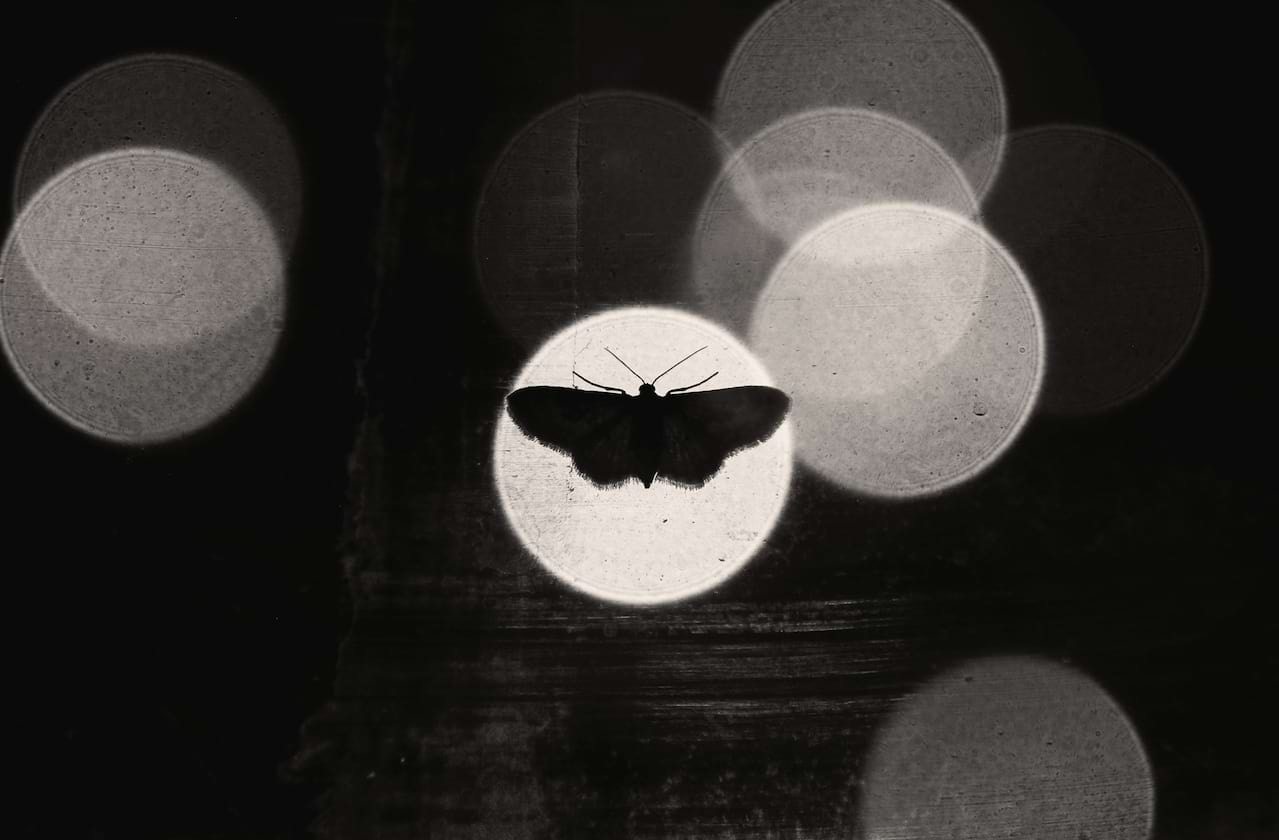 Houston Ballet: Madame Butterfly coming soon!