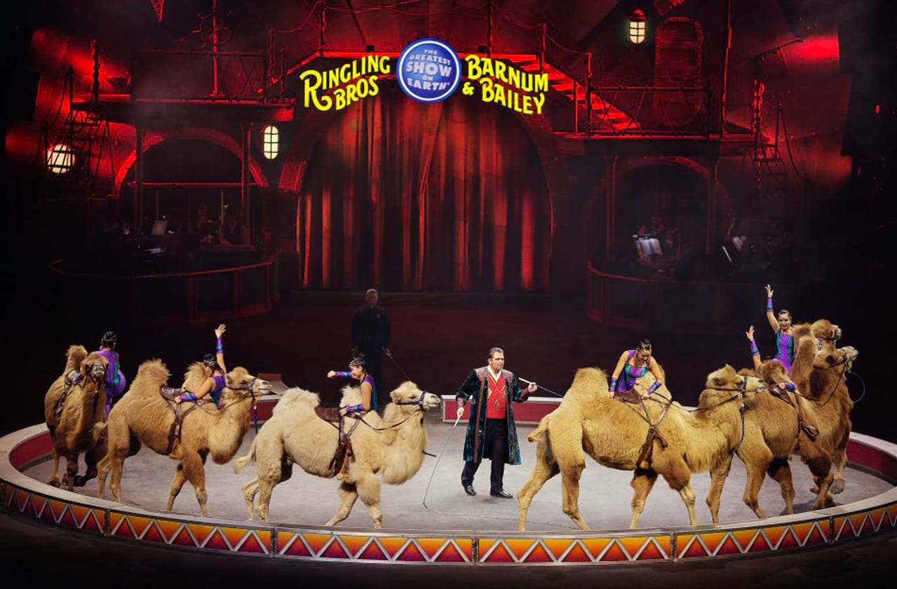 Ringling Bros. And Barnum & Bailey Circus