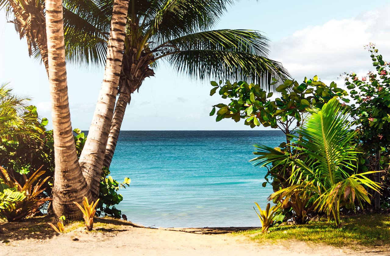 Escape to Margaritaville