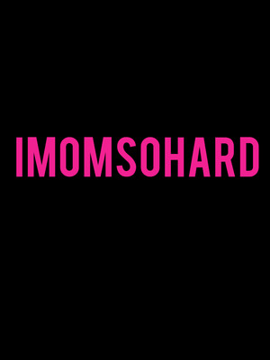 IMomSoHard at The Chicago Theatre