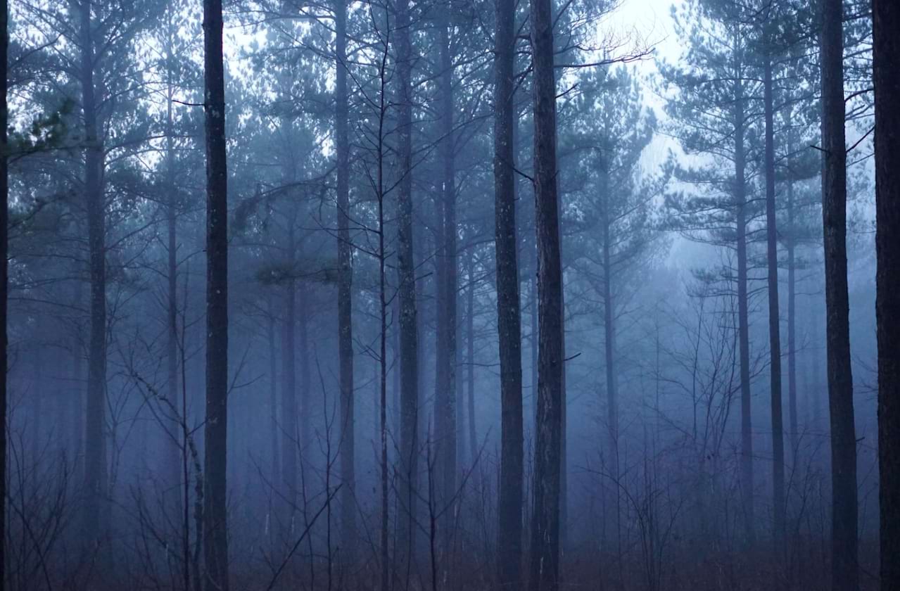 Washington Ballet - Giselle dates for your diary