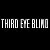 Third Eye Blind, Irving Plaza, New York