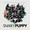 Snarky Puppy, Walt Disney Concert Hall, Los Angeles