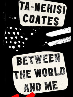 between the world and me book