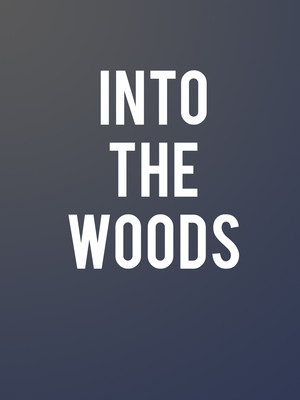 Into The Woods at Fords Theater