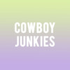 Cowboy Junkies, New York City Winery, New York