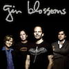 Gin Blossoms, Town Point Park, Norfolk