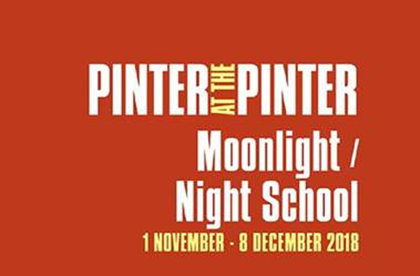 Pinter at the Pinter - Moonlight/Night School hits London