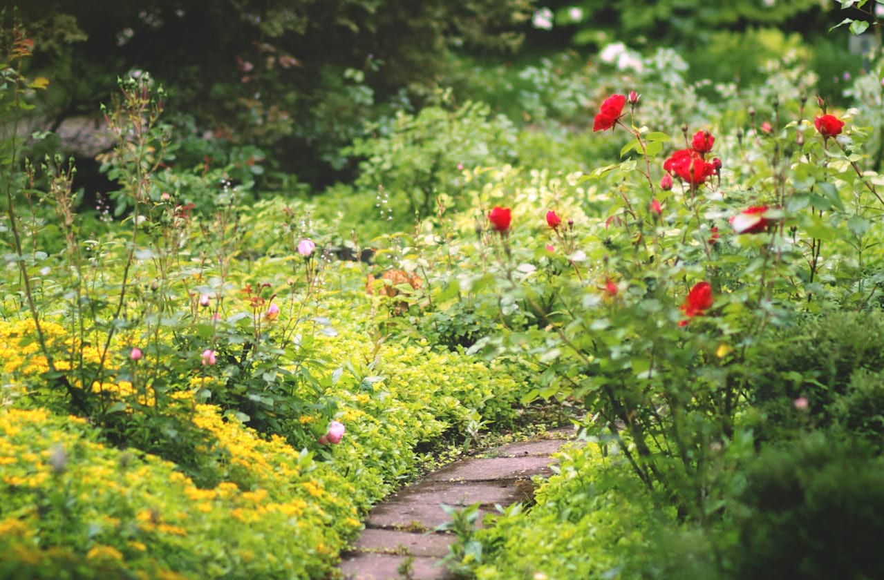 The Secret Garden at Royal George Theatre