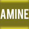 Amine, The Rave, Milwaukee
