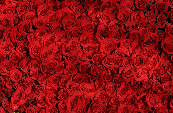 Don't miss North Carolina Opera - Carmen, strictly limited run