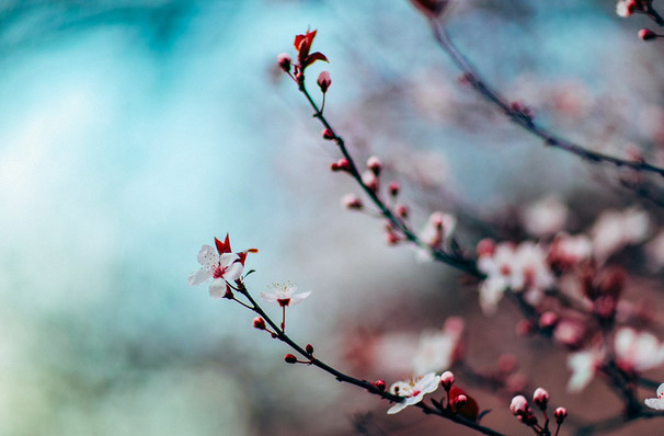 Virginia Opera - Madama Butterfly coming to Richmond!