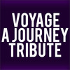 Voyage A Journey Tribute, Wellmont Theatre, New York