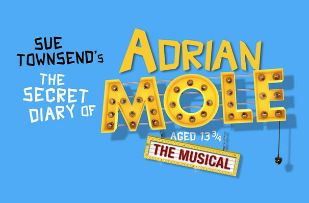 The Secret Diary of Adrian Mole Aged 13 3/4