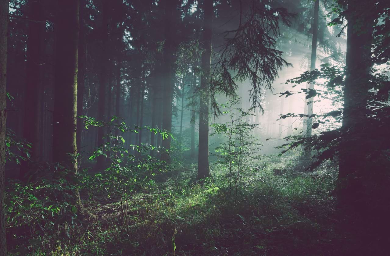 As You Like It at the Open Air Theatre - Newly Released Images
