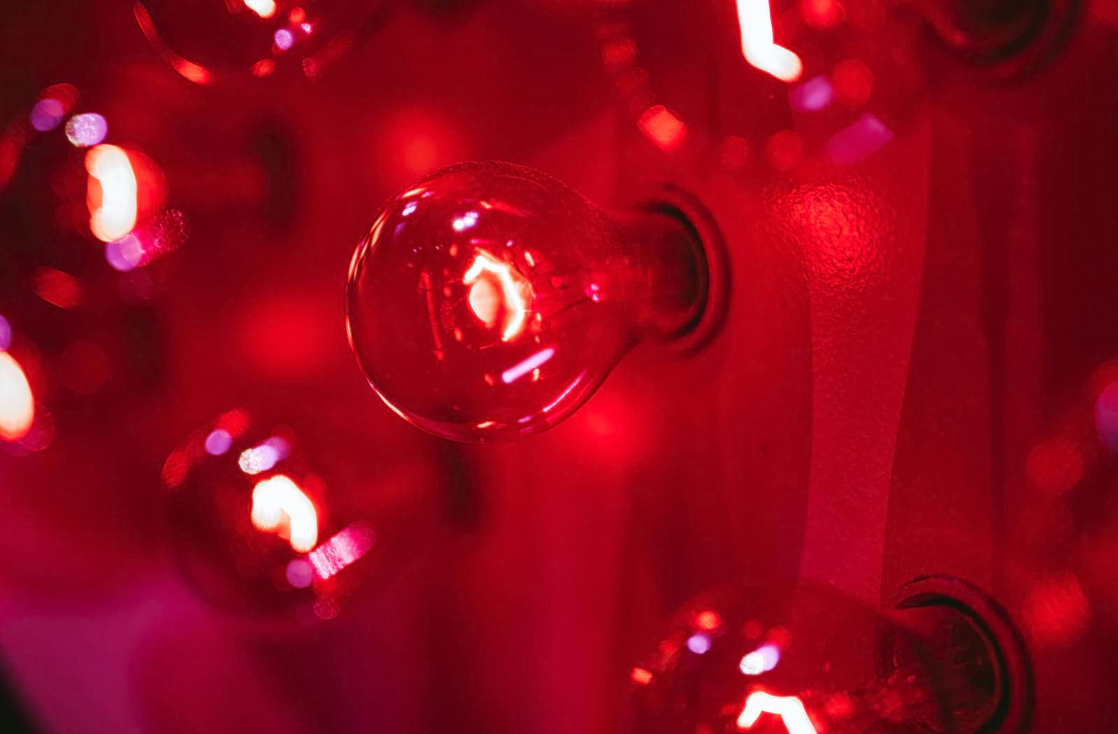 Shows in Roanoke VA 2025/26 Tickets, Info, Reviews, Videos and more