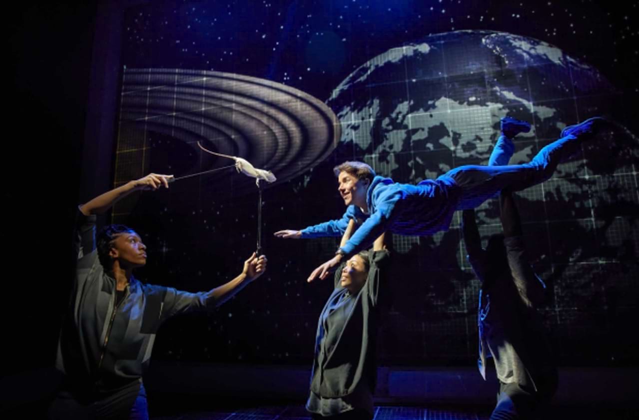 The Curious Incident of the Dog in the Night-Time