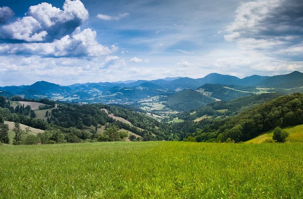 The Reviews Are In For The Sound of Music