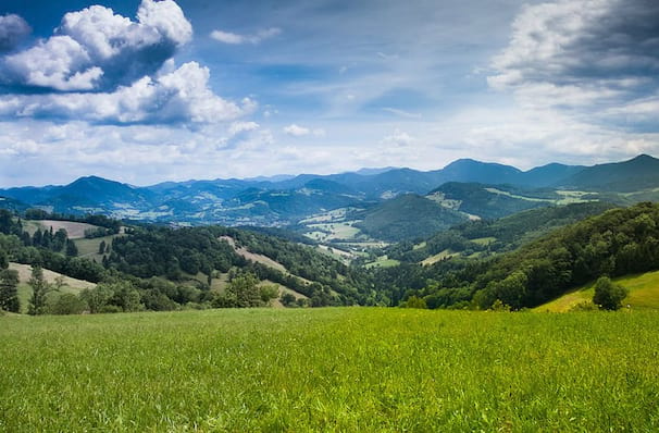 The Sound of Music at Paper Mill Playhouse