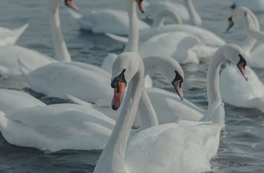 Long Beach Terrace Theater (Formerly Long Beach Convention Center