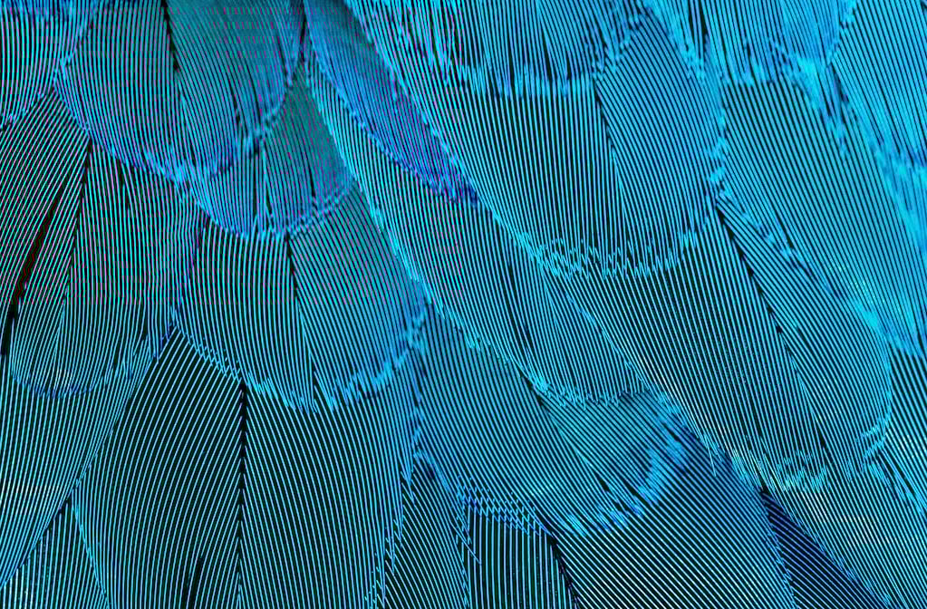 Johnny Mercer Theatre Savannah, GA Shows, Tickets, Seating Maps