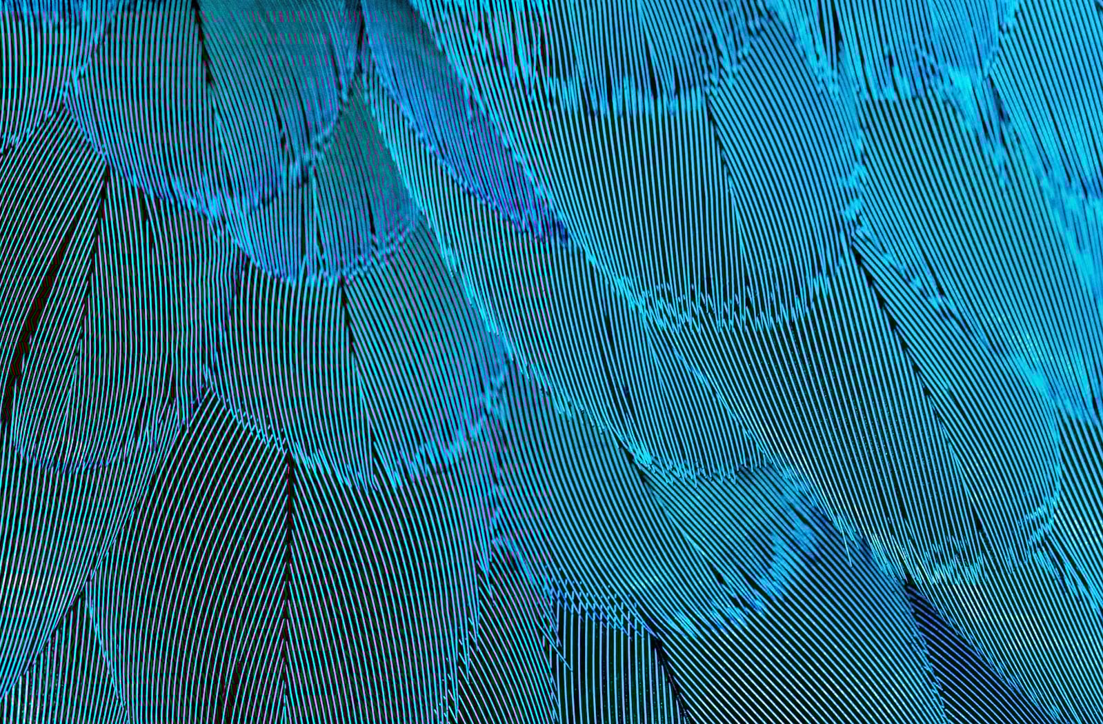 Orpheum Theater, Phoenix, AZ Seating Chart & Stage Phoenix Theater