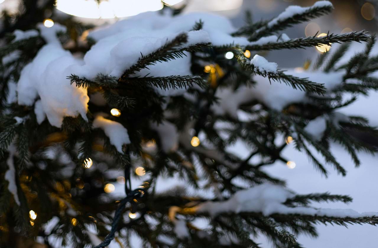 Irving Berlin's White Christmas dates for your diary