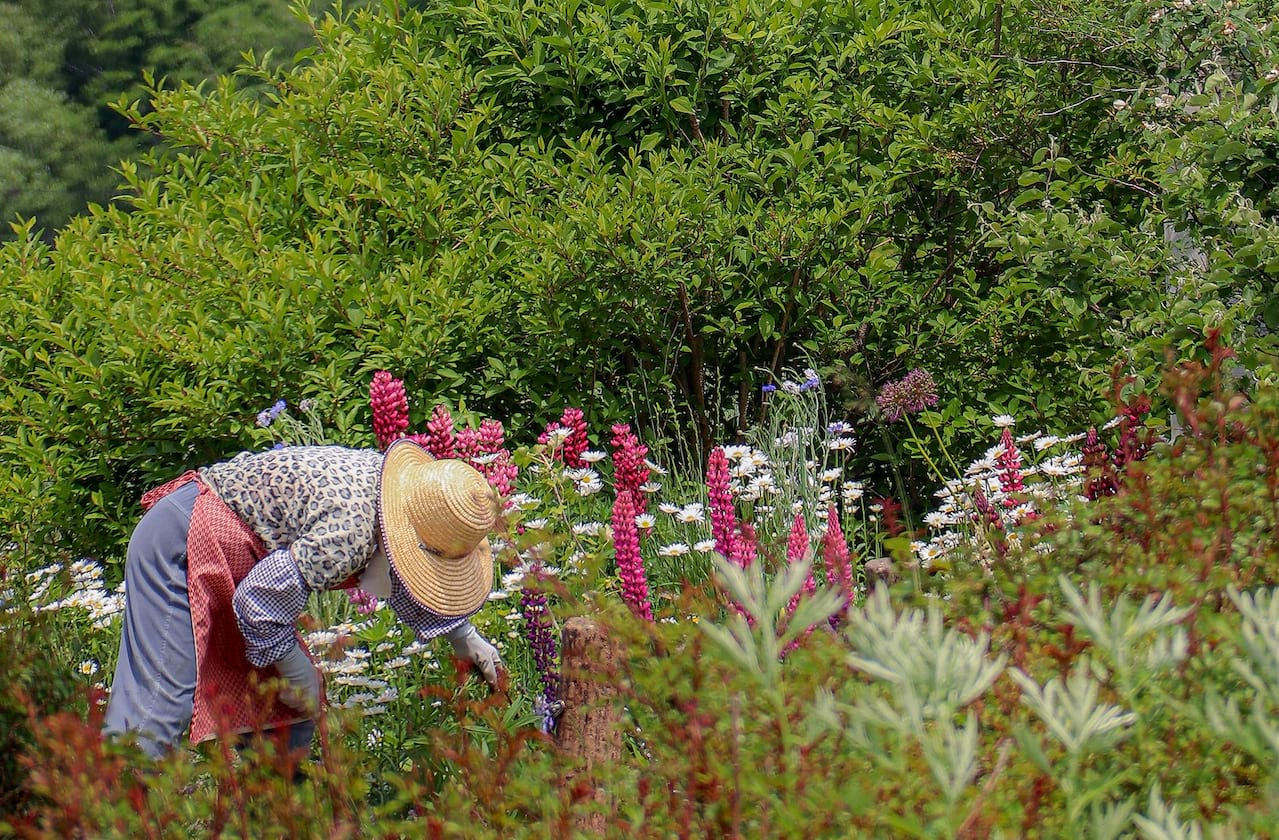 The Gardens of Anuncia