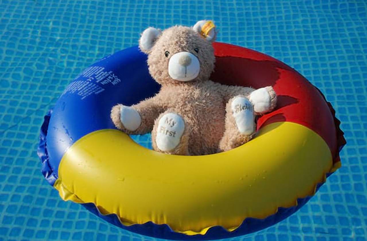Customer Reviews for Teddy Swims