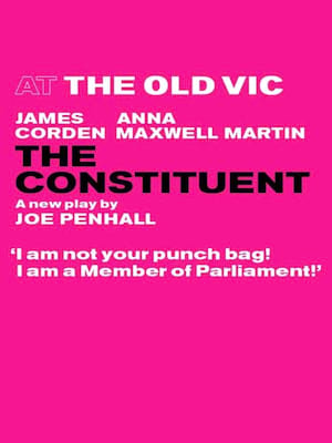 The Constituent Poster