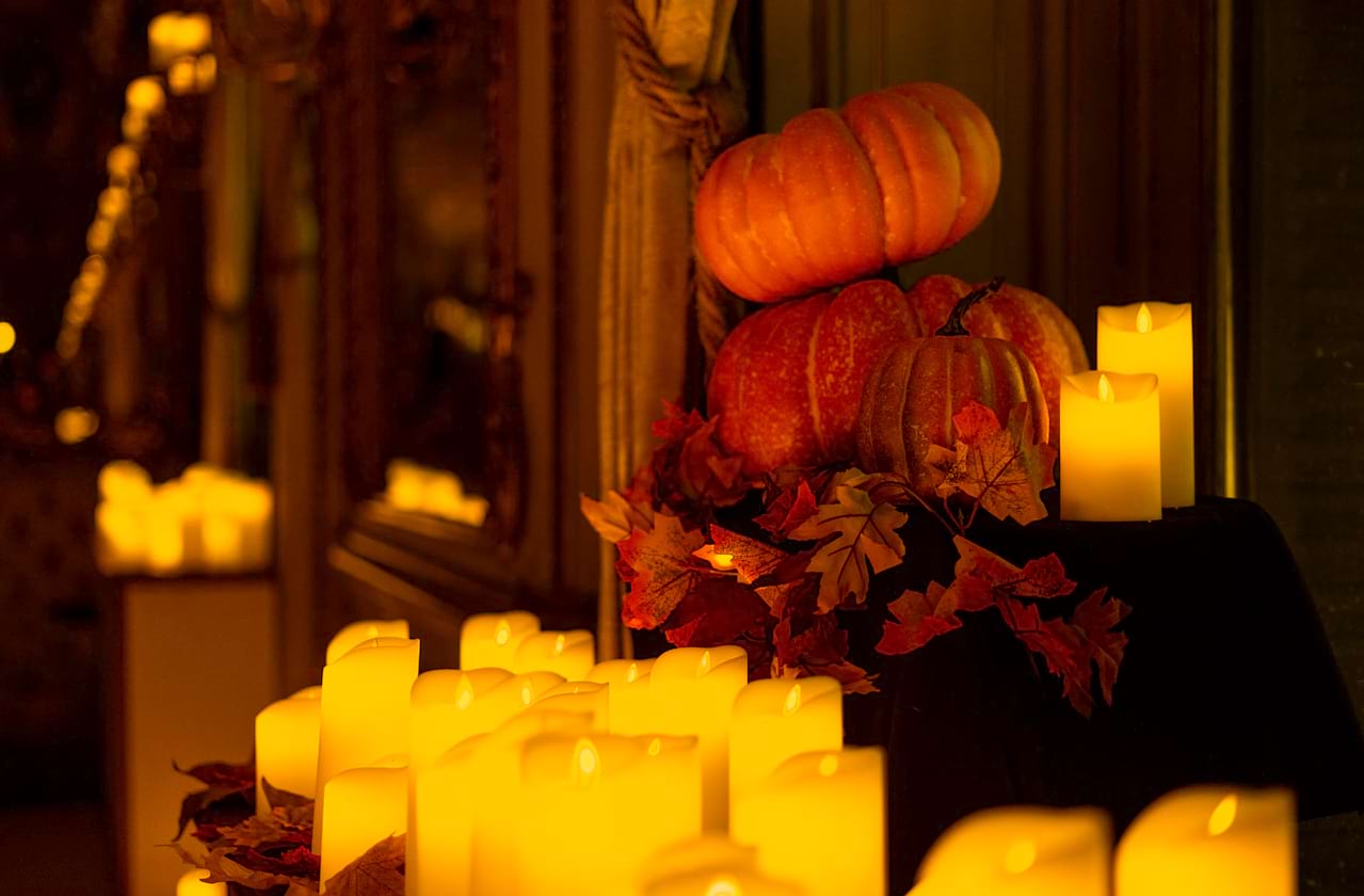 Candlelight: A Haunted Evening of Halloween Classics at Sefton Park Palm House