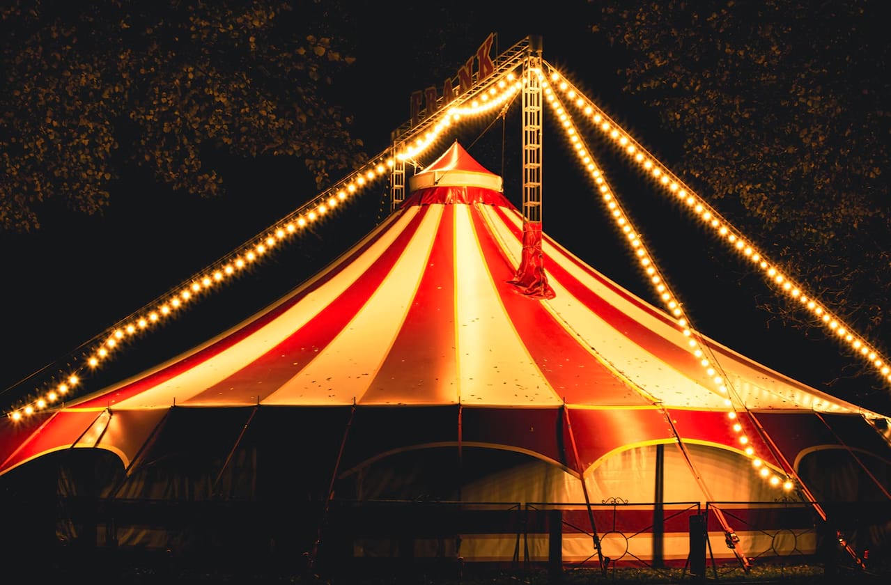 Flip Circus at McCarren Park