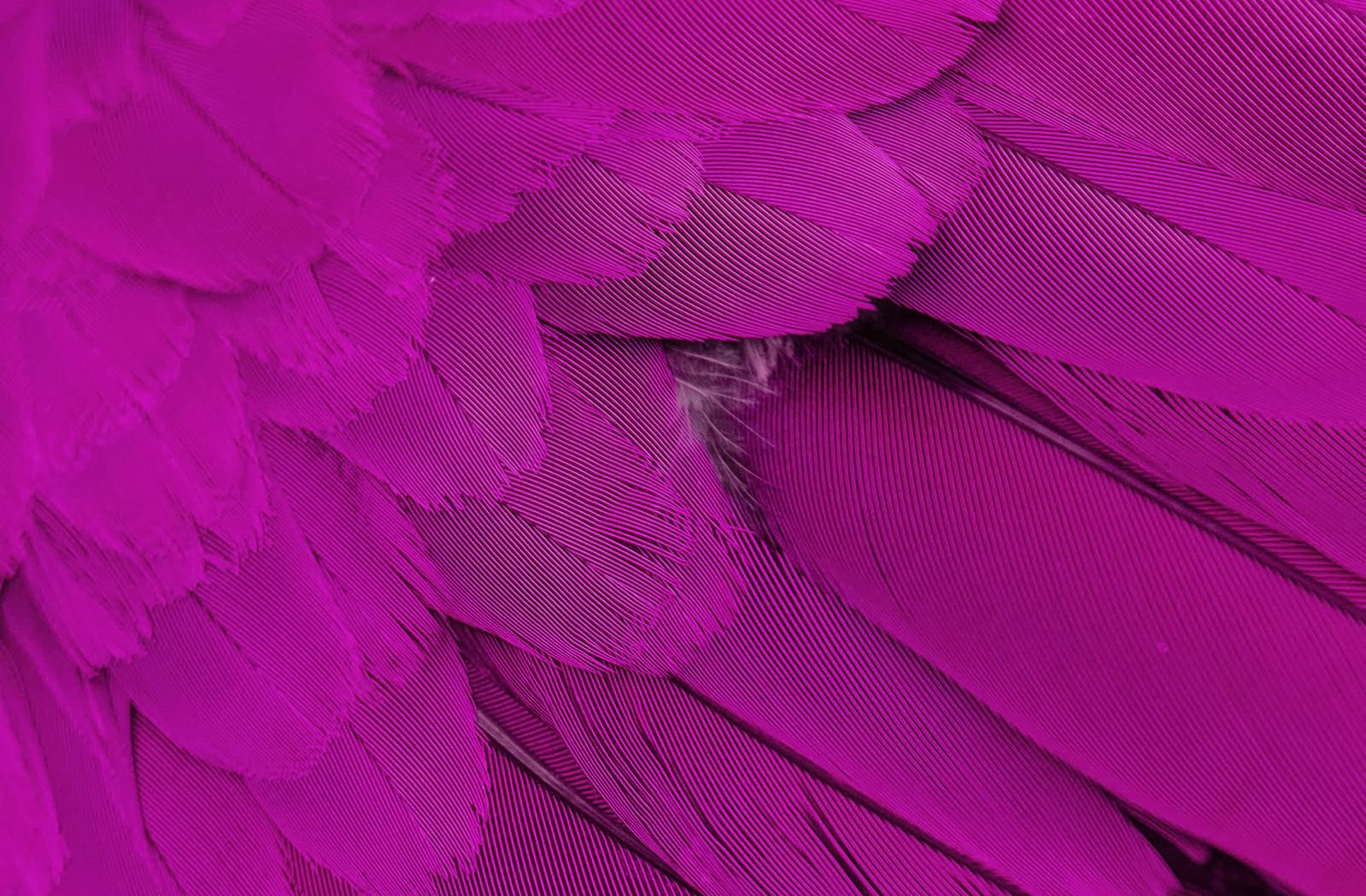 The Muny, St. Louis, MO Seating Chart & Stage St Louis Theatre