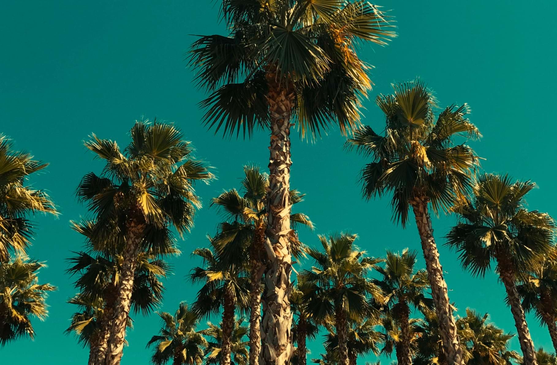 JJs Live Fayetteville, AR Shows, Tickets, Seating Maps, Restaurants