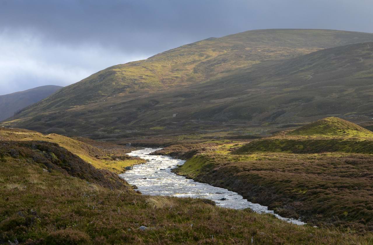 The Roads to Loch Lomond at Phoenix Theatre
