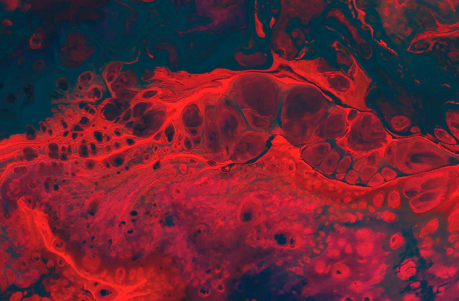 Academy of Music, Philadelphia, PA Seating Chart & Stage