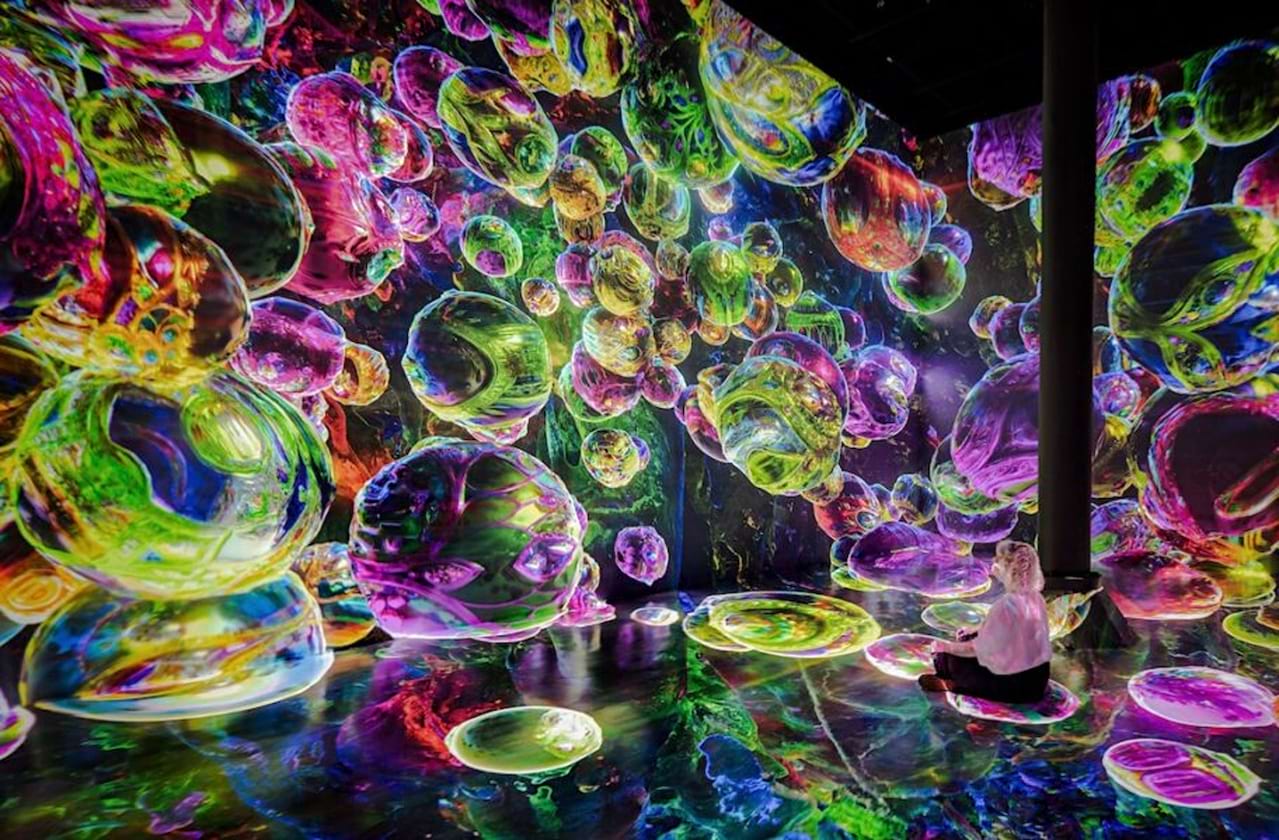 ARTECHOUSE Presents: Blooming Wonders at Artechouse NYC