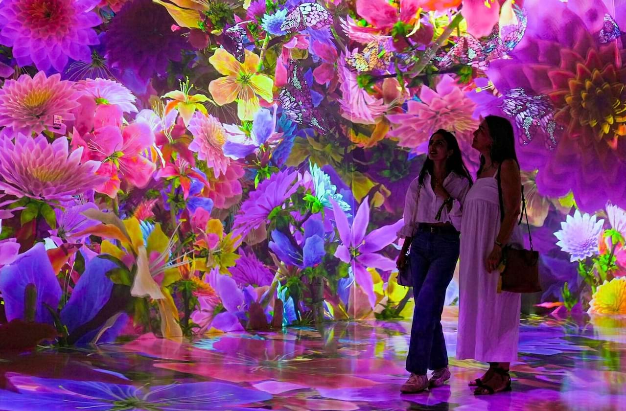ARTECHOUSE Presents: Blooming Wonders at Artechouse NYC