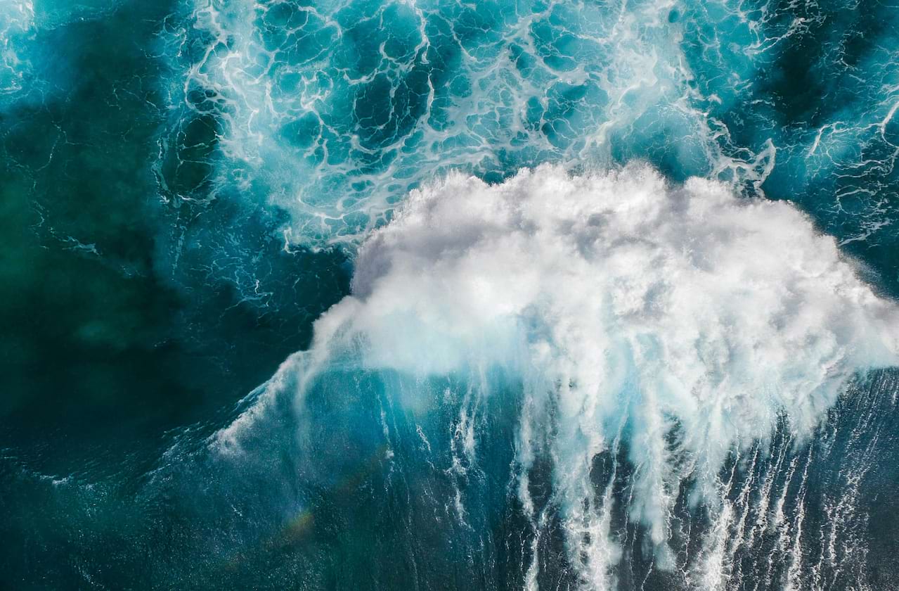 Tell Tale Harbour at Royal Alexandra Theatre